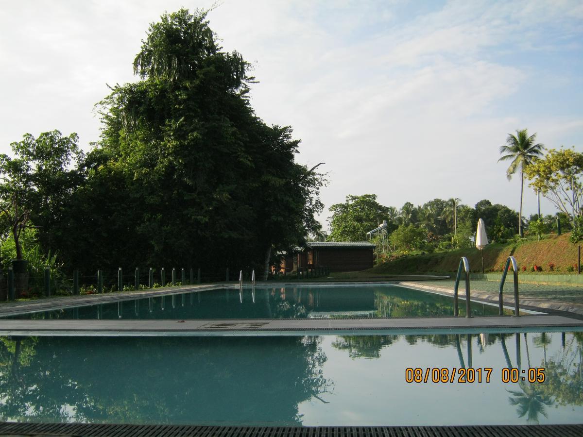 Ma Oya Retreat Pinnawala Pinnawala (Kegalle) Εξωτερικό φωτογραφία